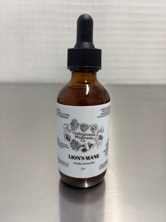 Lion’s Mane Tincture
