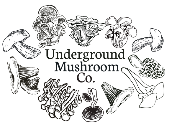 Underground Mushroom Co.