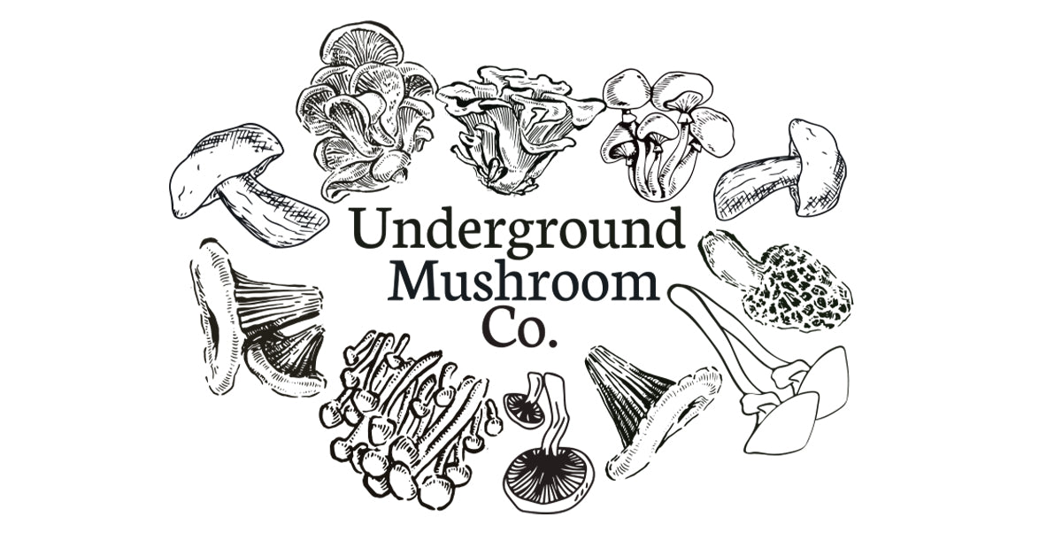 Contact underground mushroom co 